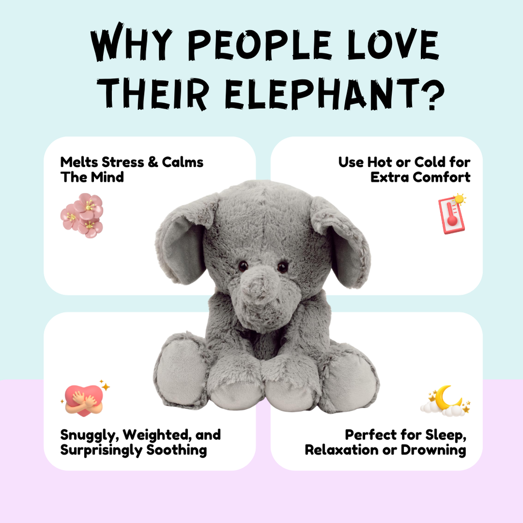 The Calm Companions Collection