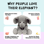 The Calm Companions Collection