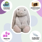 The Calm Companions Collection